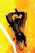 FIRE-AND-ICE-DARKWOLF-2-CVR-H-INC-110-CARY-NORD-VIRGIN-VAR