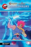 THUNDERCATS-X-SILVERHAWKS-THUNDERHAWKS-5-CVR-E-ANIMATION-ART-VAR