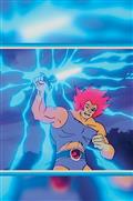 THUNDERCATS-X-SILVERHAWKS-THUNDERHAWKS-5-CVR-F-INC-110-ANIMATION-ART-VIRGIN-VAR