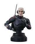 Sw Clone Wars Animated Echo 1/7 Scale Bust 