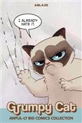 GRUMPY-CAT-AWFUL-LY-BIG-COMICS-COLL-GN