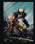 MARVELS-DEADPOOL-WOLVERINE-ILLUSTRATED-HIST-BOX-SET-