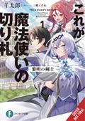 THIS-IS-THE-WIZARDS-SECRET-WEAPON-LIGHT-NOVEL-SC-VOL-01-