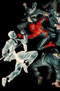 AMAZING-SPIDER-MAN-28-1100-LEE-BERMEJO-AMAZING-VISIONS-VIRGIN-VARIANT