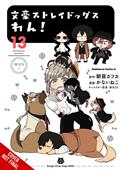 BUNGO-STRAY-DOGS-WAN-TP-VOL-13