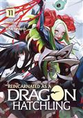 REINCARNATED-AS-DRAGON-HATCHLING-SC-NOVEL-VOL-11-