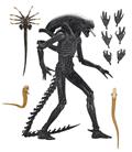 Alien Romulus Ult Xenomorph Xx121 7In AF (Net) 