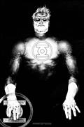 Green Lantern #25 Cvr F Stevan Subic Glow-In-The-Dark Foil Var
