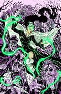 We Dont Kill Spiders Season of The Witch #1 Cvr C Inc 1:10 Megan Hutchison  Virgin Var