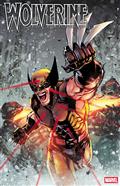WOLVERINE-24-125-ADAM-GORHAM-VARIANT