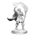 DD-NOLZURS-MARVELOUS-MINIS-ELF-CLERIC-MALE-FIG-(C-0-1-2)