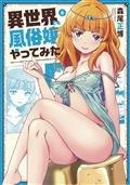 Call Girl In Another World GN Vol 06 (MR) (C: 0-1-2)