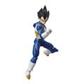 DRAGON-BALL-EVOLVE-VEGETA-5IN-AF-(Net)-