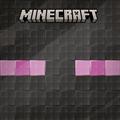 I-ESCAPED-AN-ENDERMAN-(MOBS-OF-MINECRAFT-6)-TP