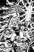 Thundarr The Barbarian #1 Cvr P Inc 1:30 Michael Cho Line Art Virgin Var