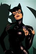 Batman One Bad Day Catwoman #1 (One Shot) Cvr A Jamie Mckelvie
