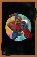 Tales From Earth-6 A Celebration of Stan Lee #1 (One Shot) Cvr F Ariel Colon Superman Var