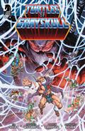 Masters of Universe TMNT Turtles of Grayskull #4 Cvr A Williams