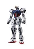 Msg Seed Gat-X105 Strike Gundam Anime Robot Spirits AF (Net)