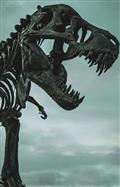 BIG-BUNDLE-OF-DINOSAURS-READER-PACK