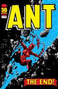 Ant #6