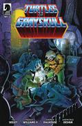 Masters of Universe TMNT Turtles of Grayskull #3 Cvr B Crook