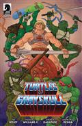 Masters of Universe TMNT Turtles of Grayskull #3 Cvr C Villa