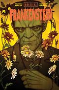 Universal Monsters Frankenstein #4 (of 4) Cvr B Jenny Frison Var