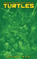 Teenage Mutant Ninja Turtles #13 Variant F (Blind Bag)