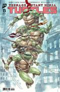 TEENAGE-MUTANT-NINJA-TURTLES-13-VARIANT-RI-(1100)-(NGUYEN)
