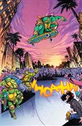 TEENAGE-MUTANT-NINJA-TURTLES-13-VARIANT-RI-(175)-(JOHNSON-FULL-ART)