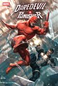 Daredevil/Punisher The Devils Trigger #1