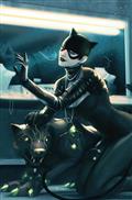 Catwoman #81 Cvr D Robin Higginbottom Card Stock Var