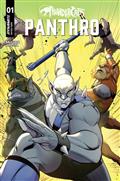 Thundercats Panthro #1 Cvr C Robert Quinn Var