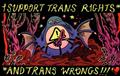 BOY-ISLAND-I-SUPPORT-TRANS-RIGHTS-AND-TRANS-WRONGS-STICKER