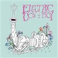 ELECTRIC-COWBOY-STICKER