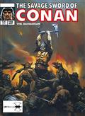 Savage Sword of Conan The Original Comics Omnibus HC Vol 11 Regular Edition Earl Norem (MR)