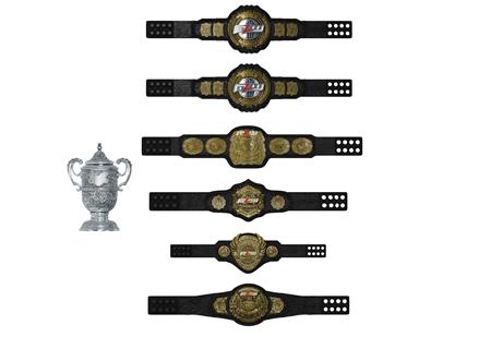 Major League Wrestling Championship Belt Collection (Net) (C - Discount ...