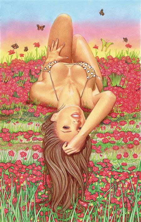 ITS NOT QUITE MALIBU #1 CVR F VALENTINA LTD ED (Net) (MR) (C