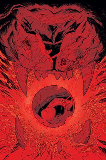 THUNDERCATS LOST #8 CVR J INC 1:15 DECLAN SHALVEY VIRGIN VAR