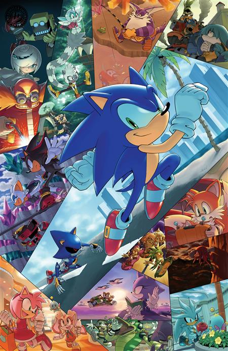 SONIC THE HEDGEHOG #91 VARIANT RI 1:25 (HAMMERSTROM FULL ART)
