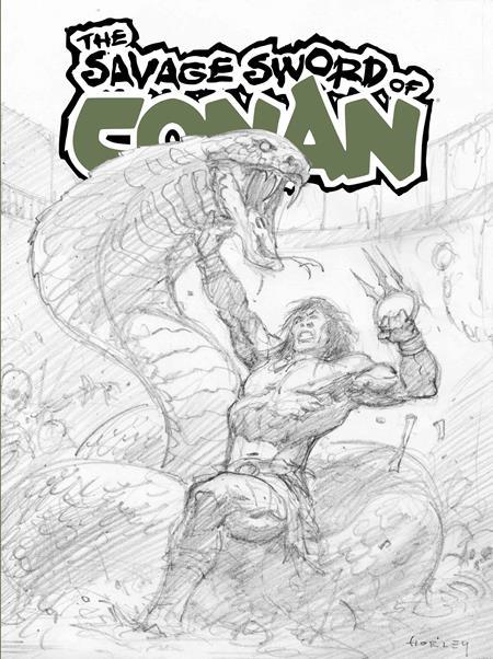 SAVAGE SWORD OF CONAN #15 SDCC EXCLUSIVE ALEX HORLEY CARDSTOCK INKS VAR (MR) Limited To 450 Copies Allocations May Occur