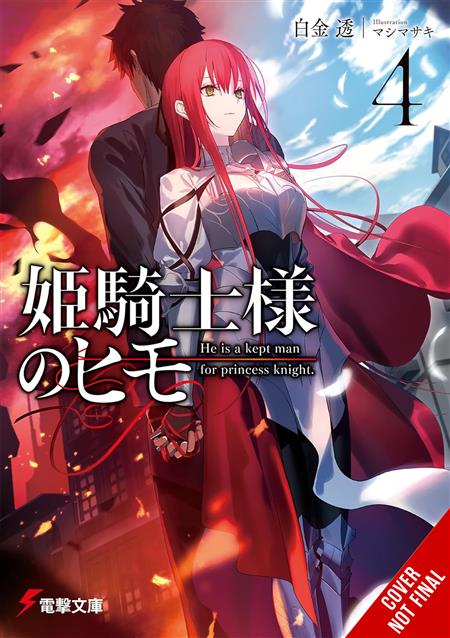 KEPT MAN OF PRINCESS KNIGHT LIGHT NOVEL SC VOL 04 (MR) 