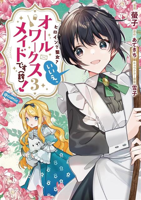 HEROINE SAINT IM AN ALL WORKS MAID GN VOL 03 (MR) 