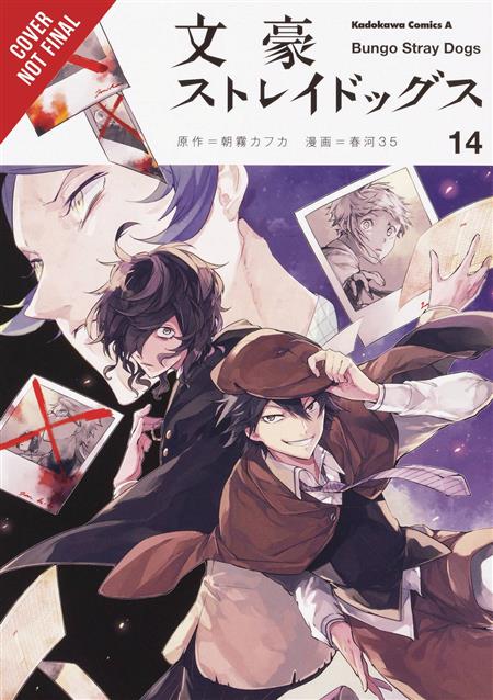 BUNGO STRAY DOGS GN VOL 14 (C: 1-1-2)