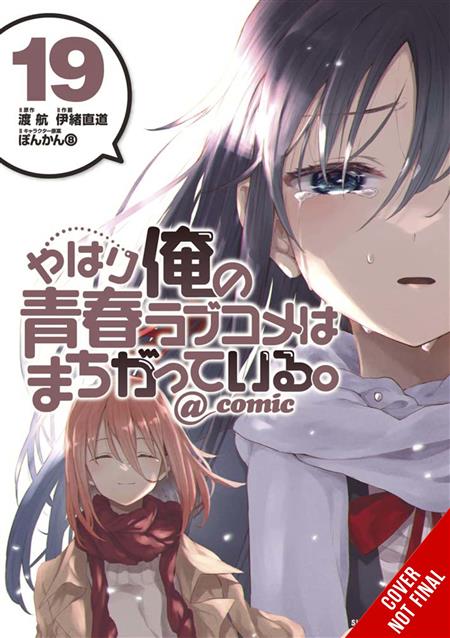 My Youth Romantic Comedy Is Wrong, As I Expected SC (2016-2022 Yen ON) A  Light Novel comic books