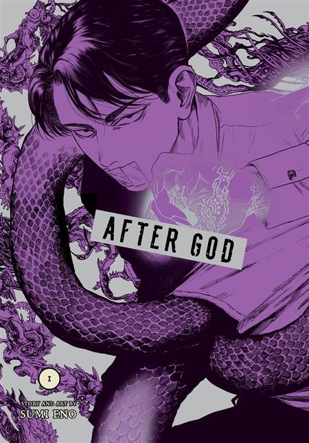 AFTER GOD GN VOL 03 