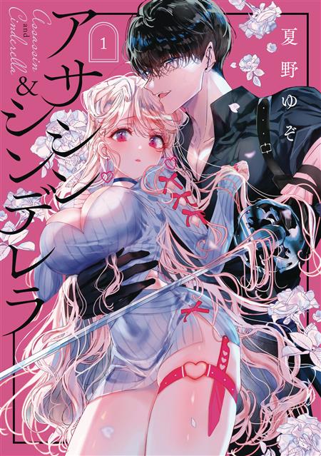 ASSASSIN & CINDERELLA GN VOL 01 (MR) 