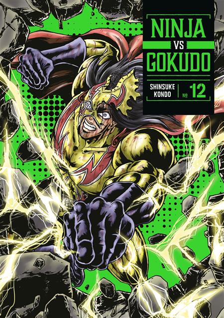 NINJA VS. GOKUDO GN VOL 12