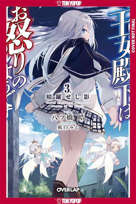 HER ROYAL HIGHNESS SEEMS TO BE ANGRY GN VOLUME 3 (LIGHT NOVEL)